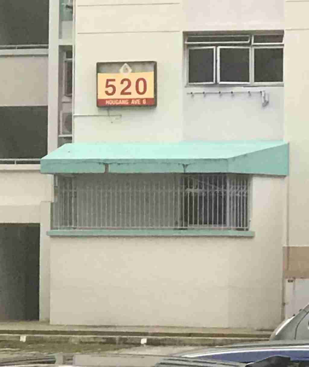 悉尼 房产 出租 526 Hougang Avenue 6